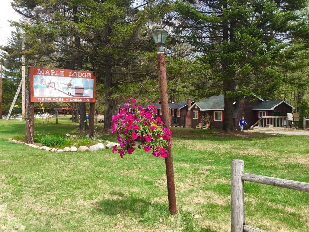 נורת' וודסטוק Maple Lodge Cabins מראה חיצוני תמונה