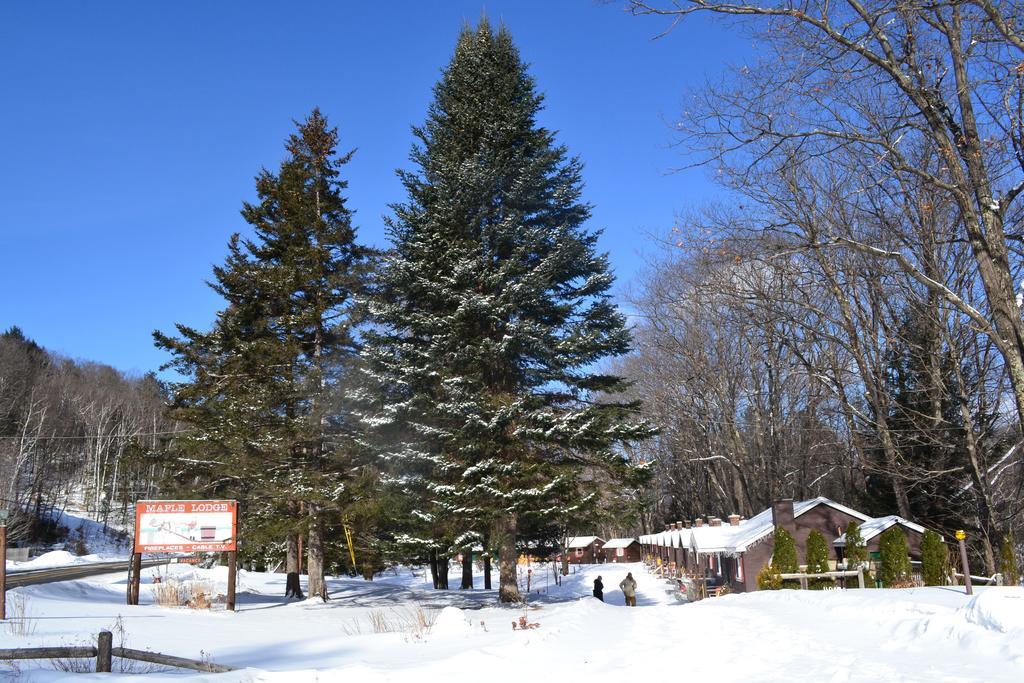 נורת' וודסטוק Maple Lodge Cabins מראה חיצוני תמונה